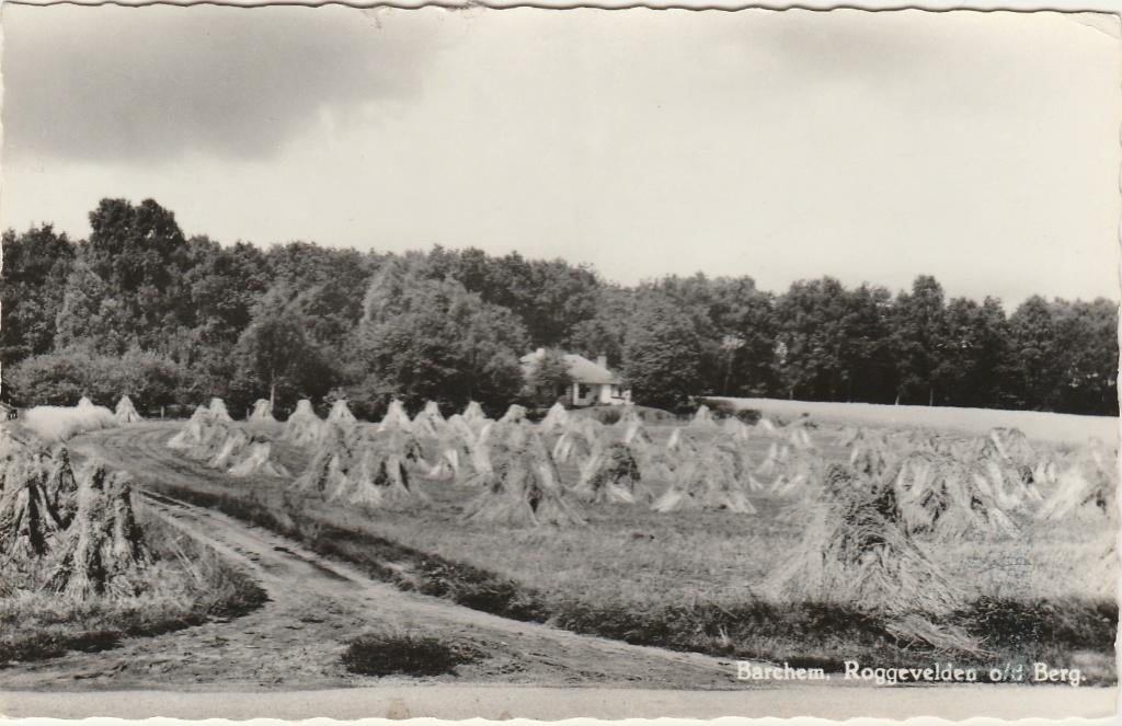 BARCHEM Roggevelden op de Berg, Verzenden, 1960 tot 1980, Gelopen, Gelderland