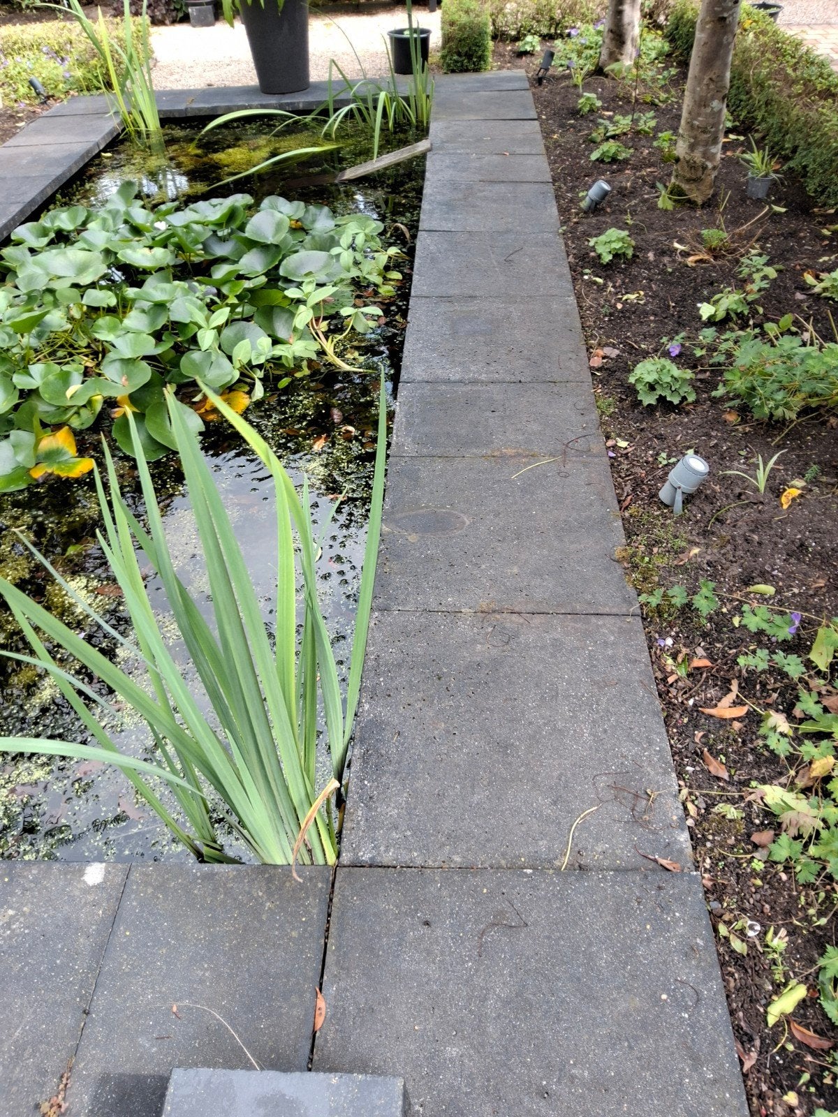 22 schellevis betontegels 60 x 60 x, Ophalen, Beton, 5 tot 10 m², Terrastegels