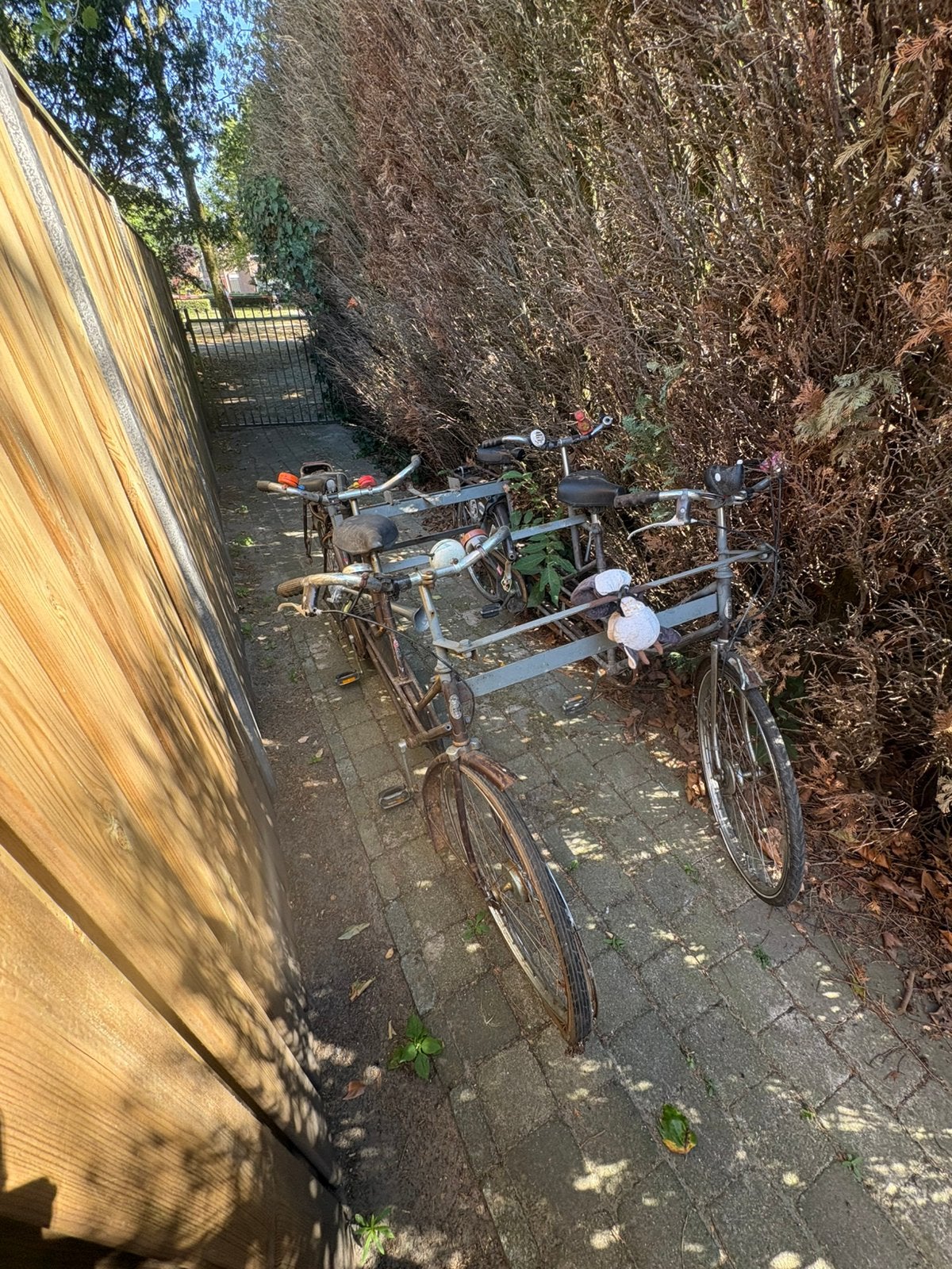 4 persoons fiets / dubbele tandem, 55 cm of meer, Ophalen, Gebruikt, Minder dan 10 versnellingen