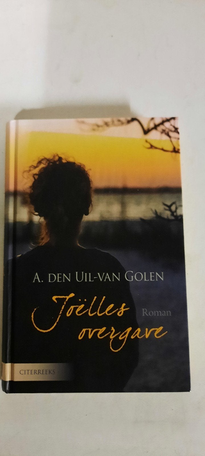 Aja den Uil-van Golen - Joëlles overgave, Boeken, Ophalen, Noord-Brabant, Zo goed als nieuw, Aja den Uil-van Golen