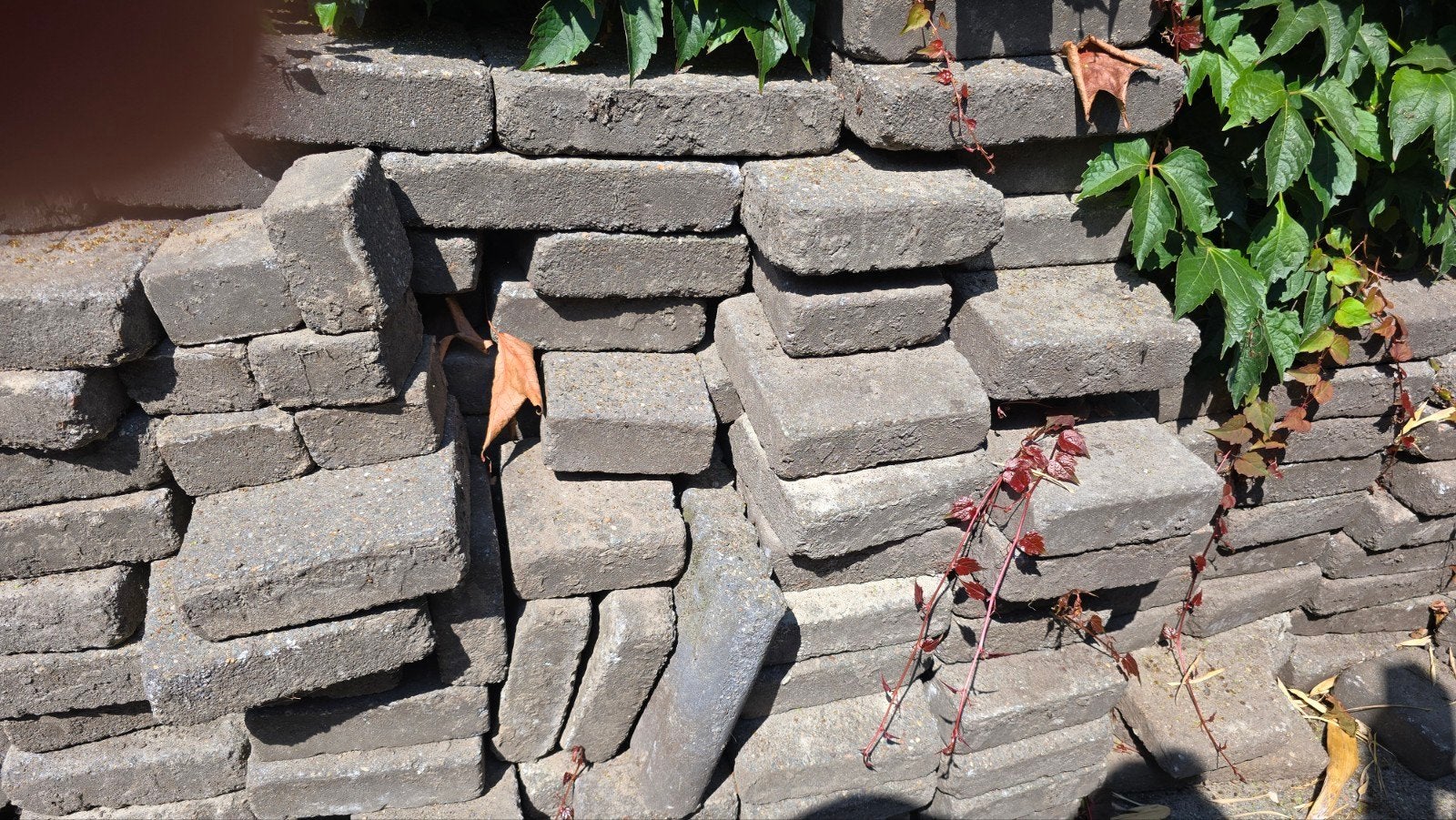 Gratis!! wildverband stenen, Ophalen, Gebruikt, Klinkers, 10 m² of meer