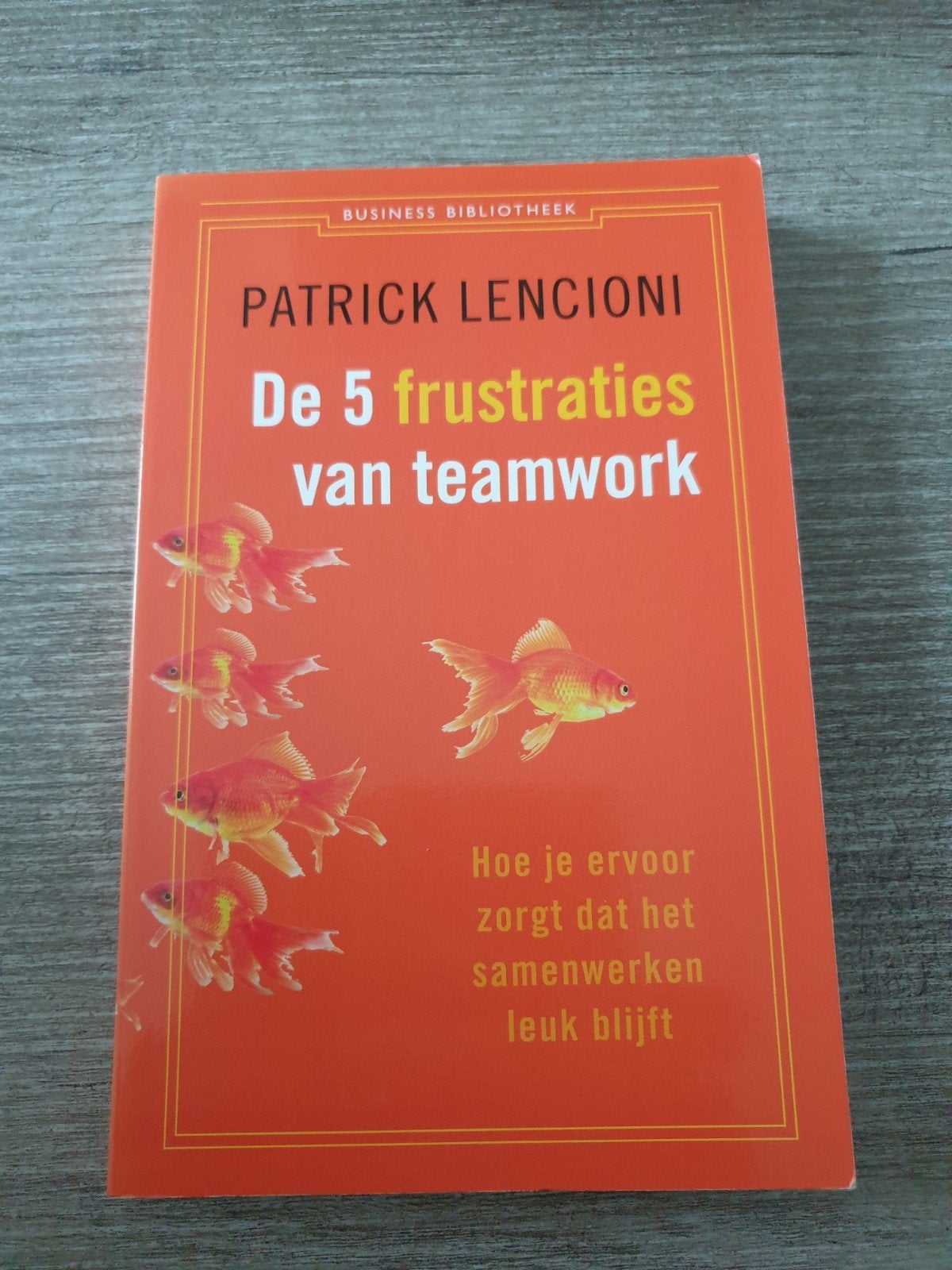 De 5 frustraties van teamwork - Patrick Lencioni, Ophalen of Verzenden, Gelezen, Management, Patrick Lencioni
