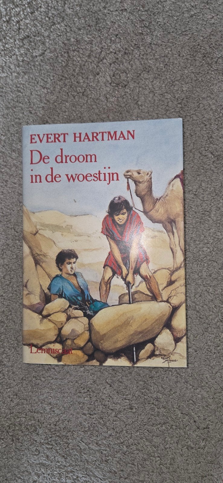 Evert Hartman - De droom in de woestijn, Boeken, Ophalen of Verzenden, Gelezen, Evert Hartman, Fictie algemeen