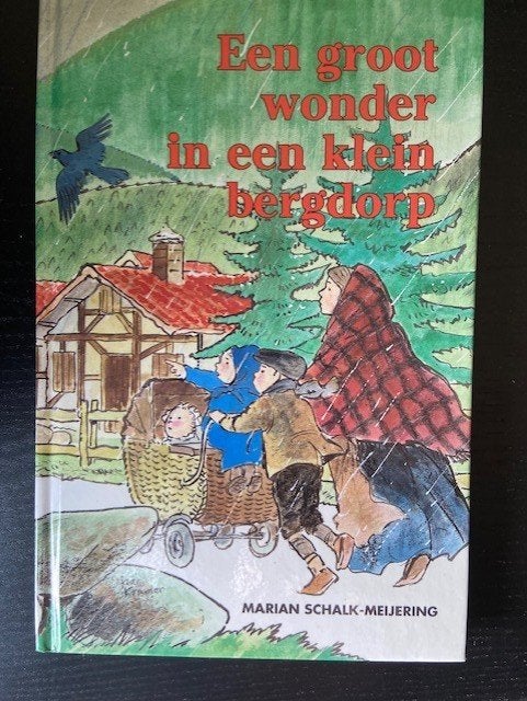 Een groot wonder in een klein bergdorp  9789072186218, Ophalen of Verzenden, Zo goed als nieuw, M. Schalk-Meijering