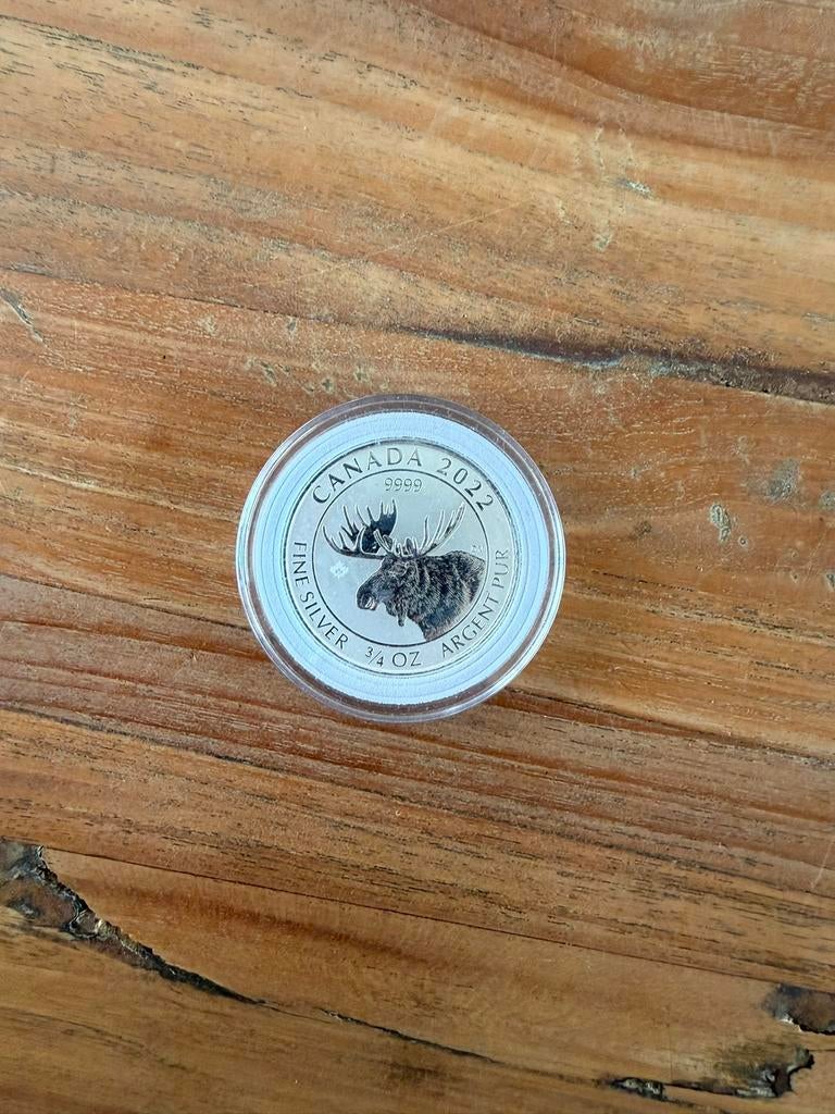 Zilver 999 - 3/4 oz - canada moose 2022, Ophalen of Verzenden, Zilver