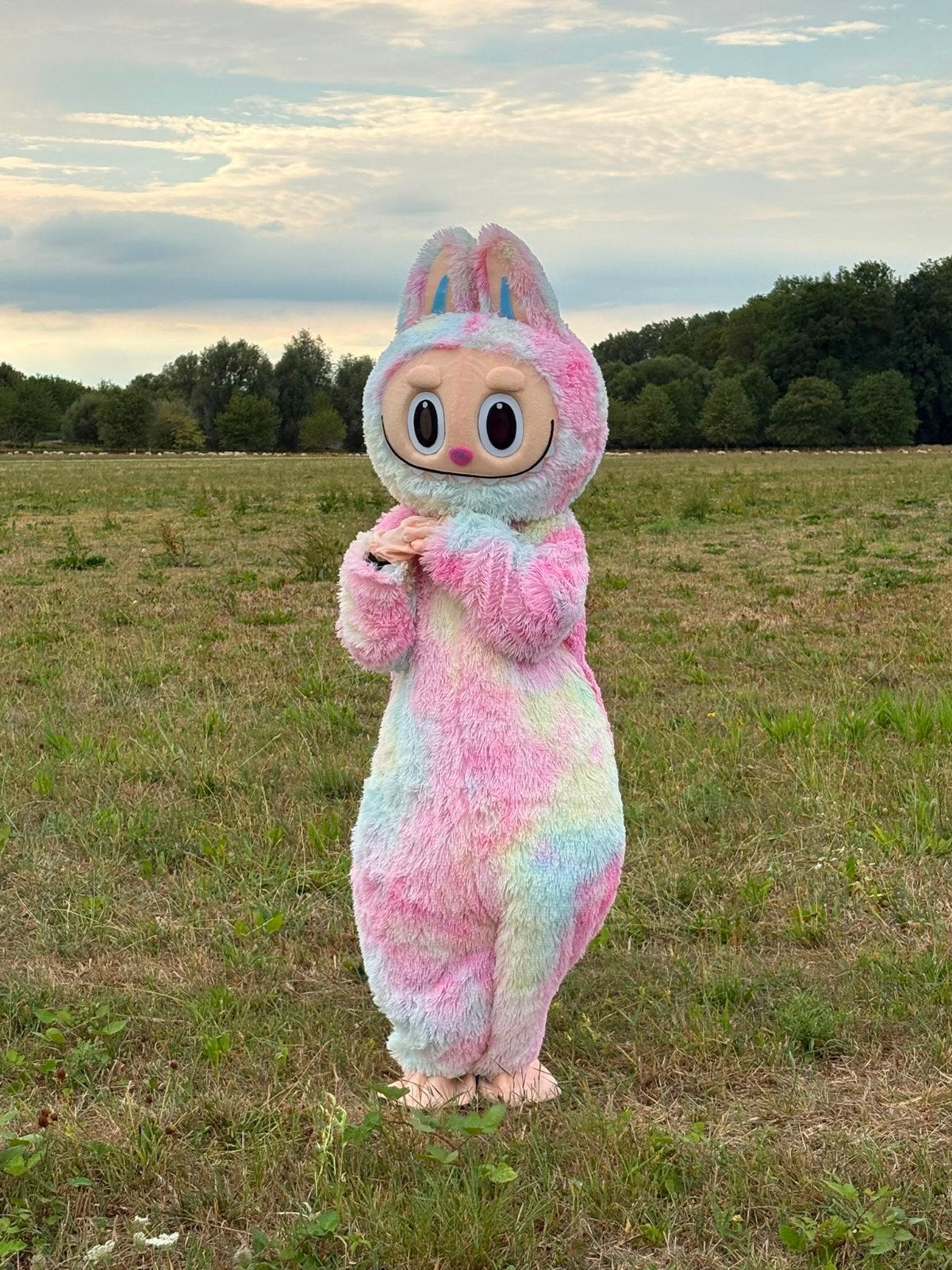 LABUBU MASCOTTE TE HUUR – MET OF ZONDER ACTEUR, Ophalen of Verzenden