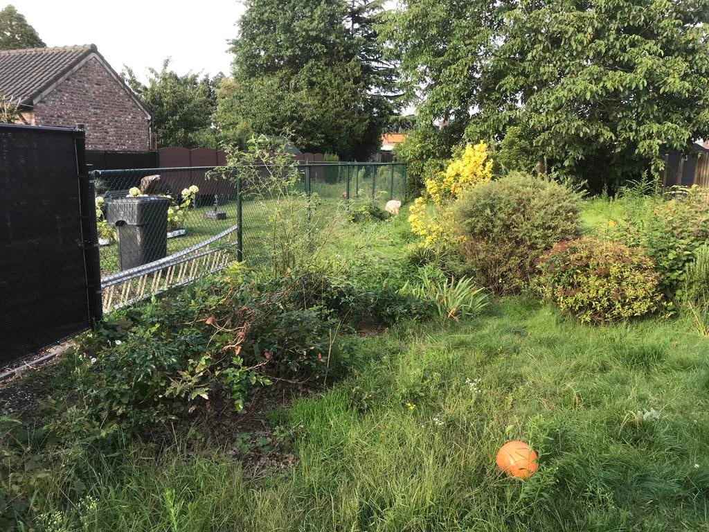 17,5m Groen gaashekwerk, Ophalen, Overige materialen, Gebruikt, 6 meter of meer