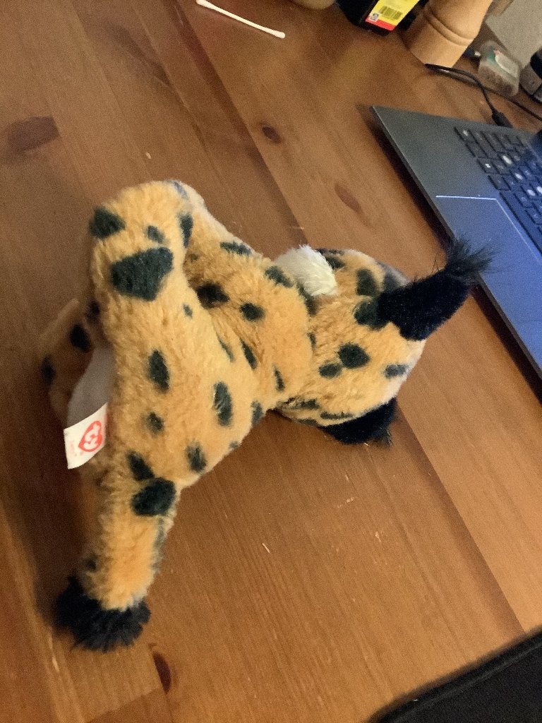TY Beanie Baby Larry The Lynx 15cm 2017, Ophalen of Verzenden, Gebruikt, Overige typen, Ty