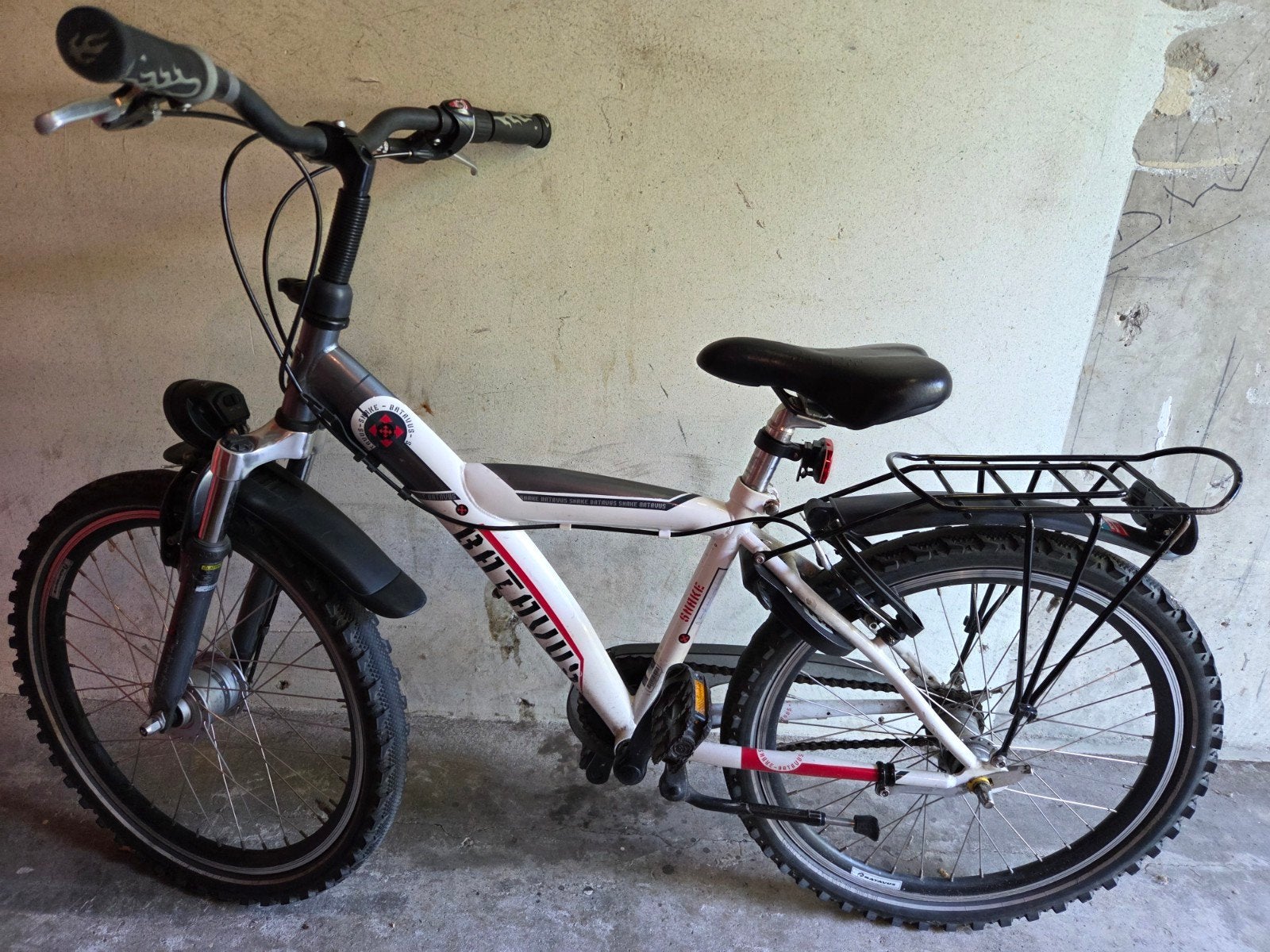 Batavus Snake 22 inch kinderfiets, Fietsen en Brommers, Ophalen
