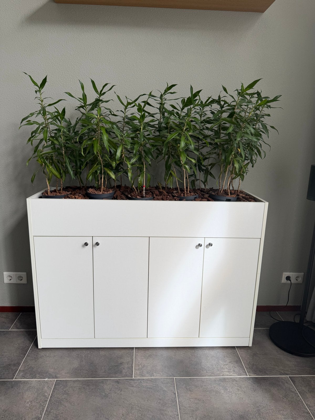 Roomdivider / Kast met Hydrocultuur Planten AFGEPRIJSD, Huis en Inrichting, Ophalen, Overige materialen, 150 tot 200 cm, Zo goed als nieuw
