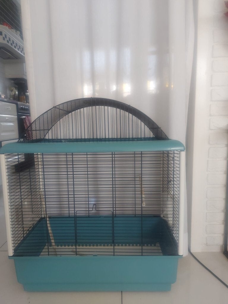 Vogelkooi, Dieren en Toebehoren, Mannelijk