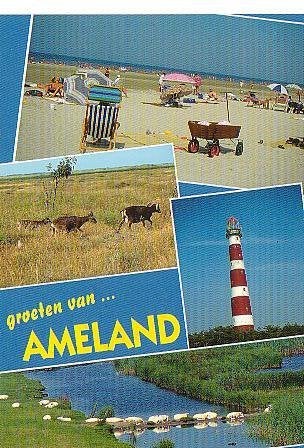 Ansichtkaart 	Ameland	4-luik	Vuurtoren	Schapen, Verzenden, 1960 tot 1980, Gelopen, Waddeneilanden