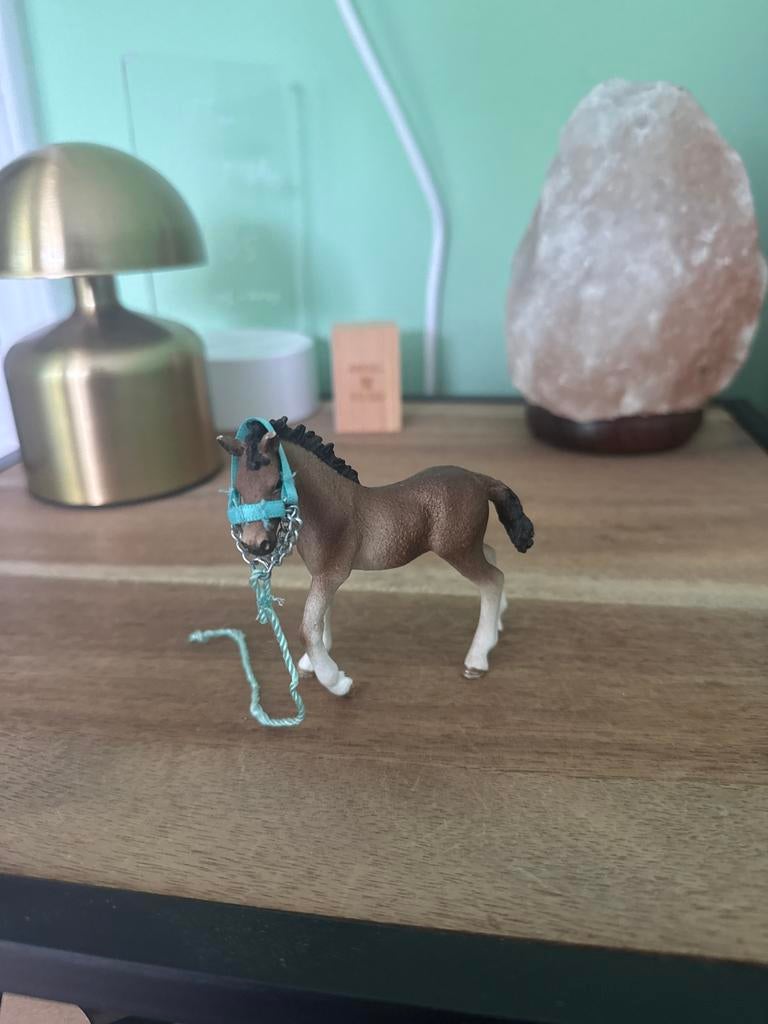 Schleich veulentje met halster, Ophalen of Verzenden, Zo goed als nieuw, Jongen of Meisje