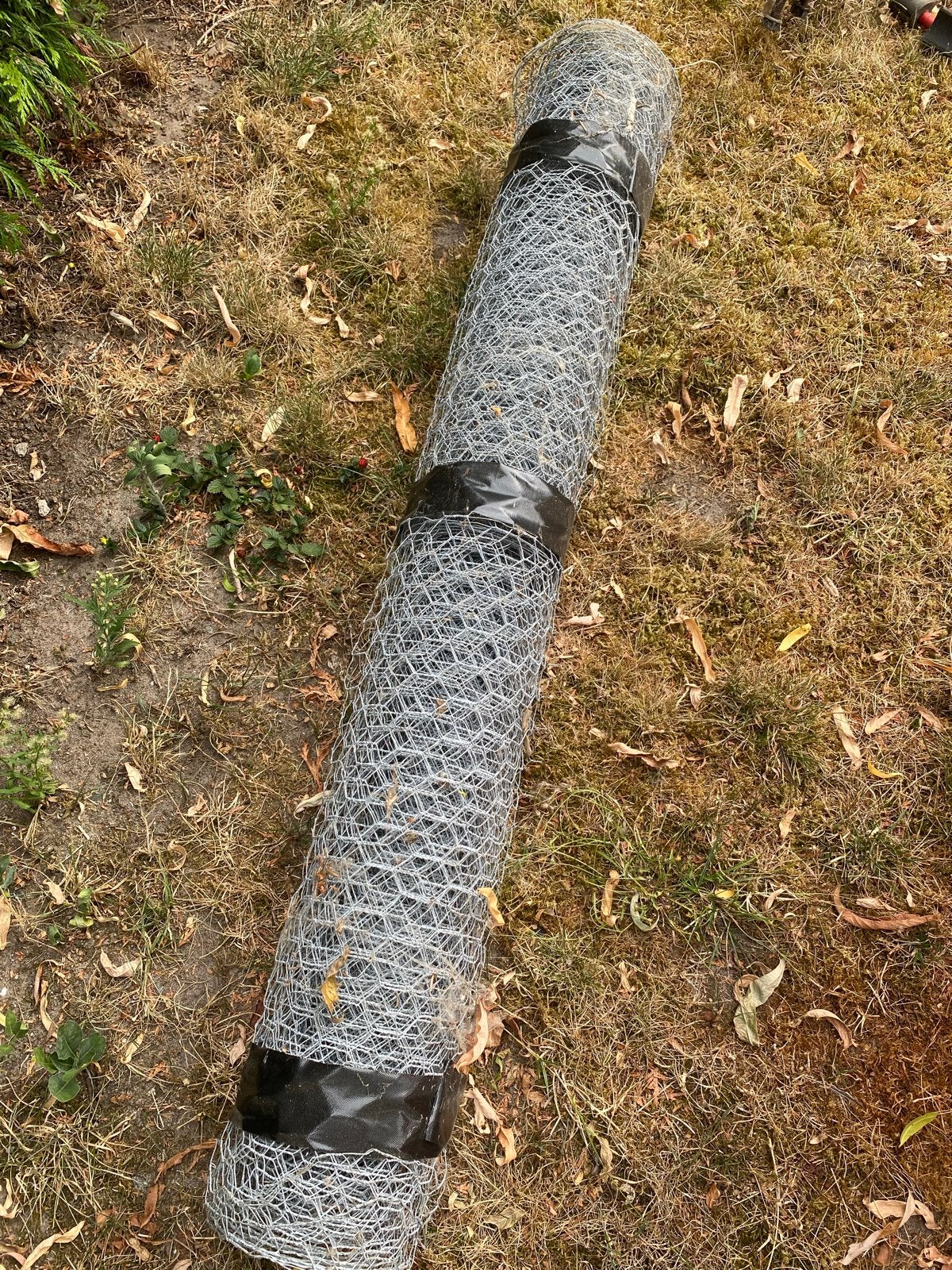 Nieuwe rol kippengaas, 1 meter hoog, Ophalen, Nieuw, Minder dan 10 meter, Gaas