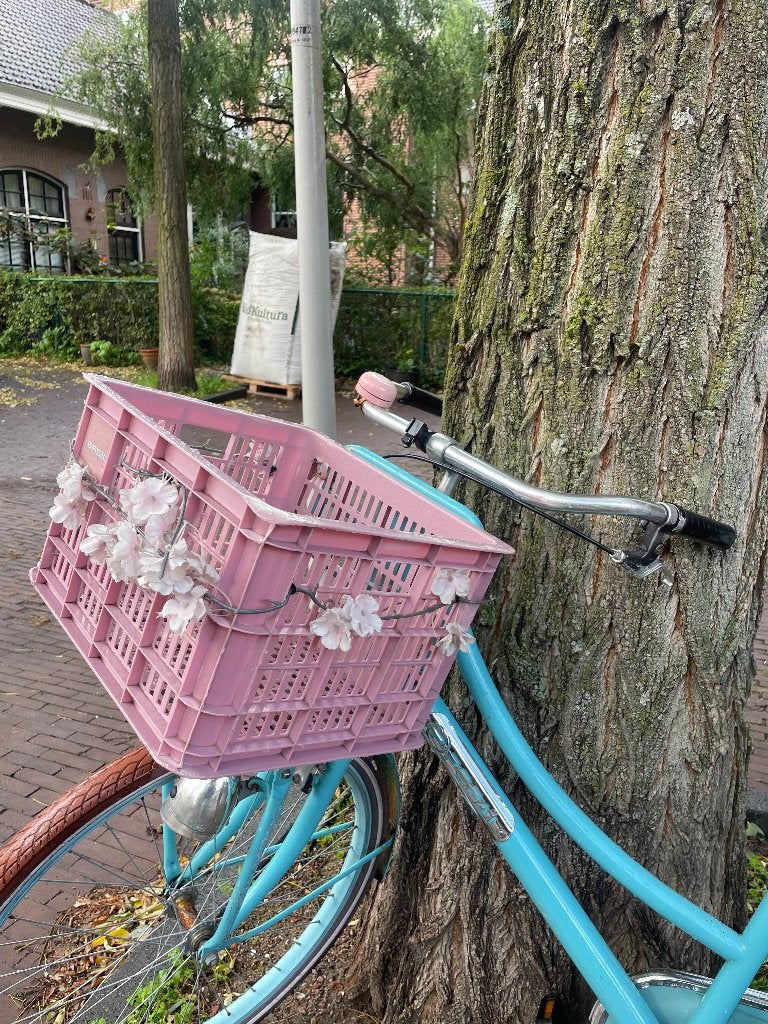 Popal fiets, Ophalen, Gebruikt, 26 inch of meer, Popal