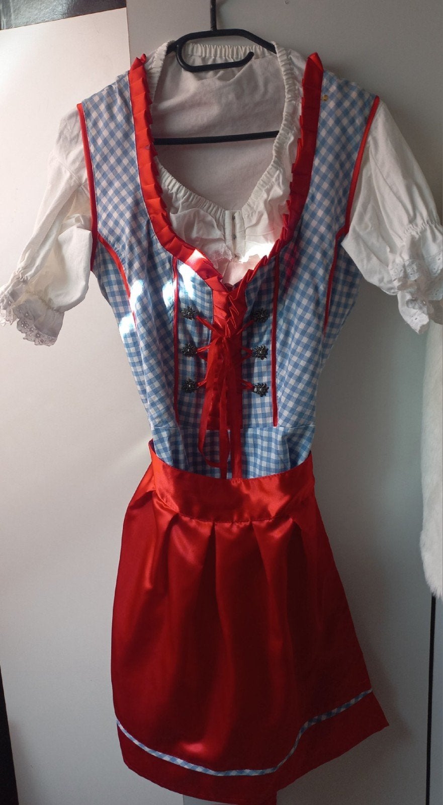 carnavals kleding, Kleding | Dames, Ophalen, Zo goed als nieuw, Maat 42/44 (L)