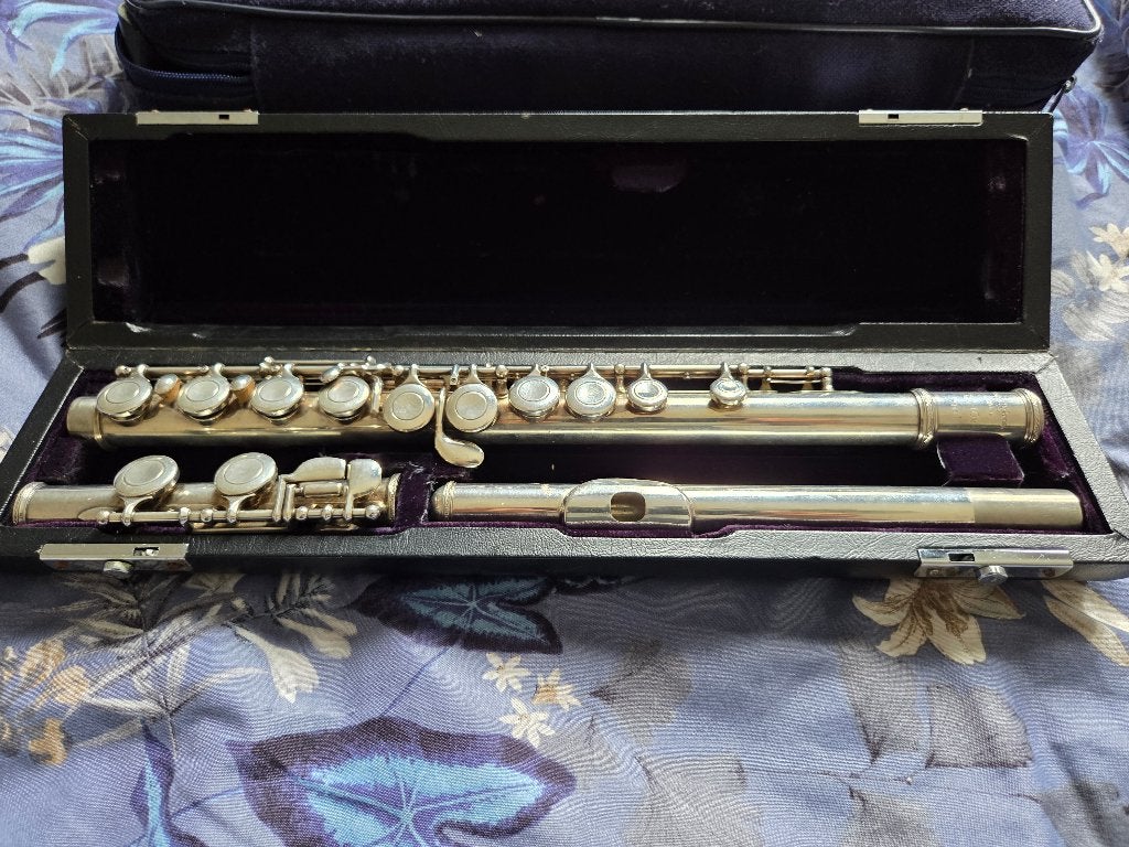 Trevor james fluit t j 10x, Muziek en Instrumenten, Ophalen, Gebruikt, Met koffer of tas