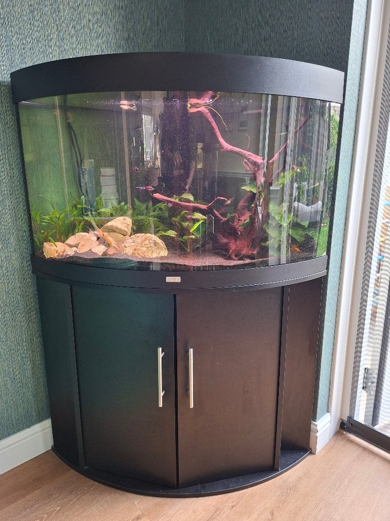 Juwel hoekaquarium 190 liter, Dieren en Toebehoren, Ophalen, Gebruikt, Inclusief vissen, Gevuld zoetwateraquarium