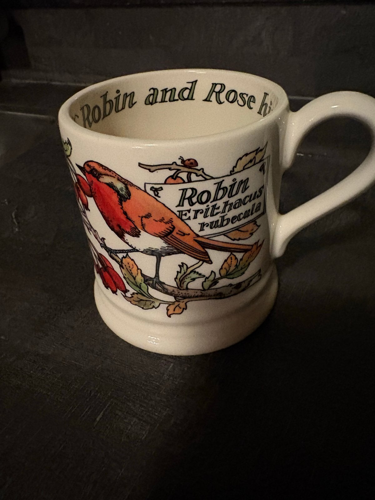 Emma Bridgewater Mok Robin Roodborstje, Gebruikt, Emma Bridgewater, Aardewerk, Mok