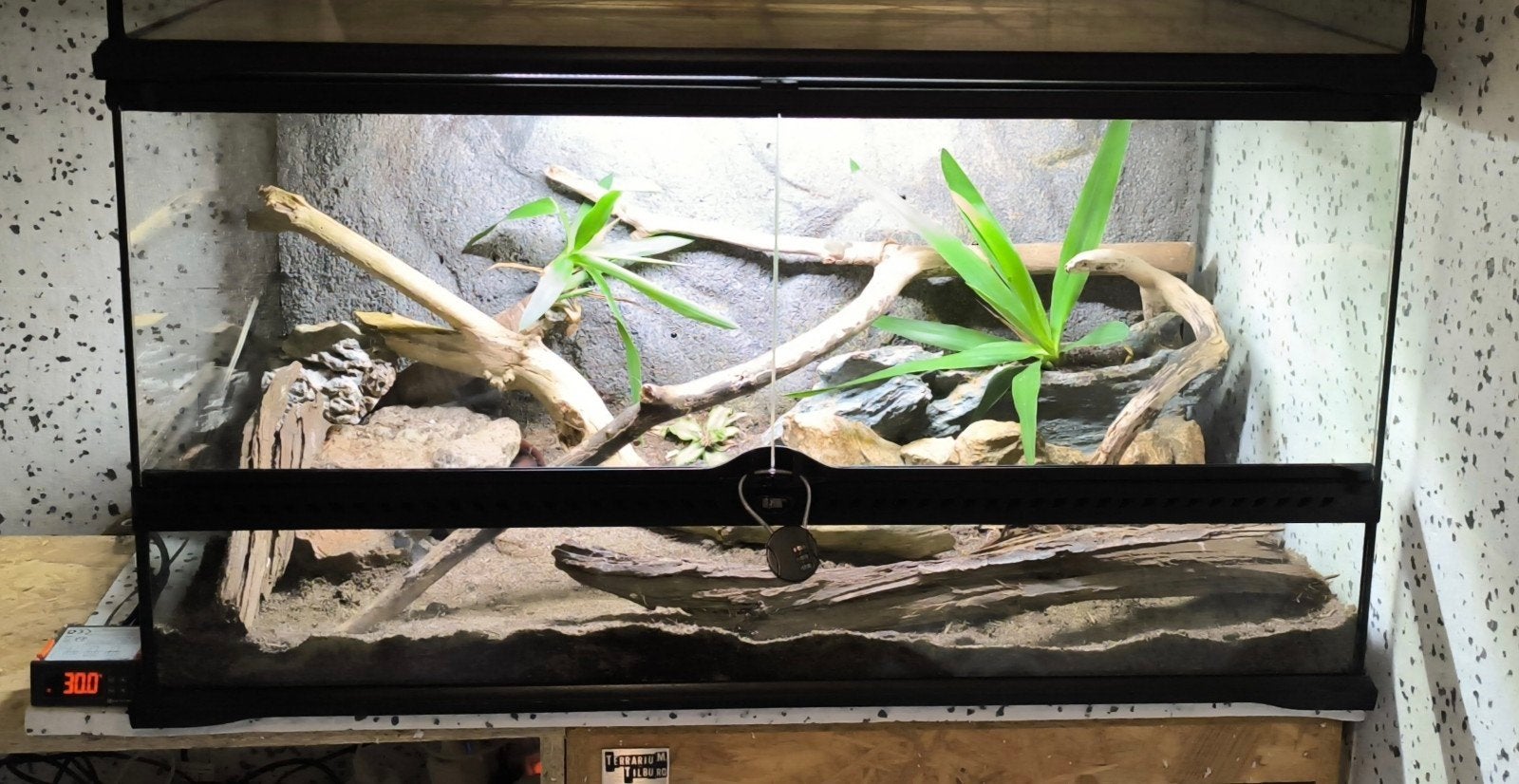 Terrarium Exo terra 90*45*45, Dieren en Toebehoren, Reptielen en Amfibieën | Toebehoren, Ophalen