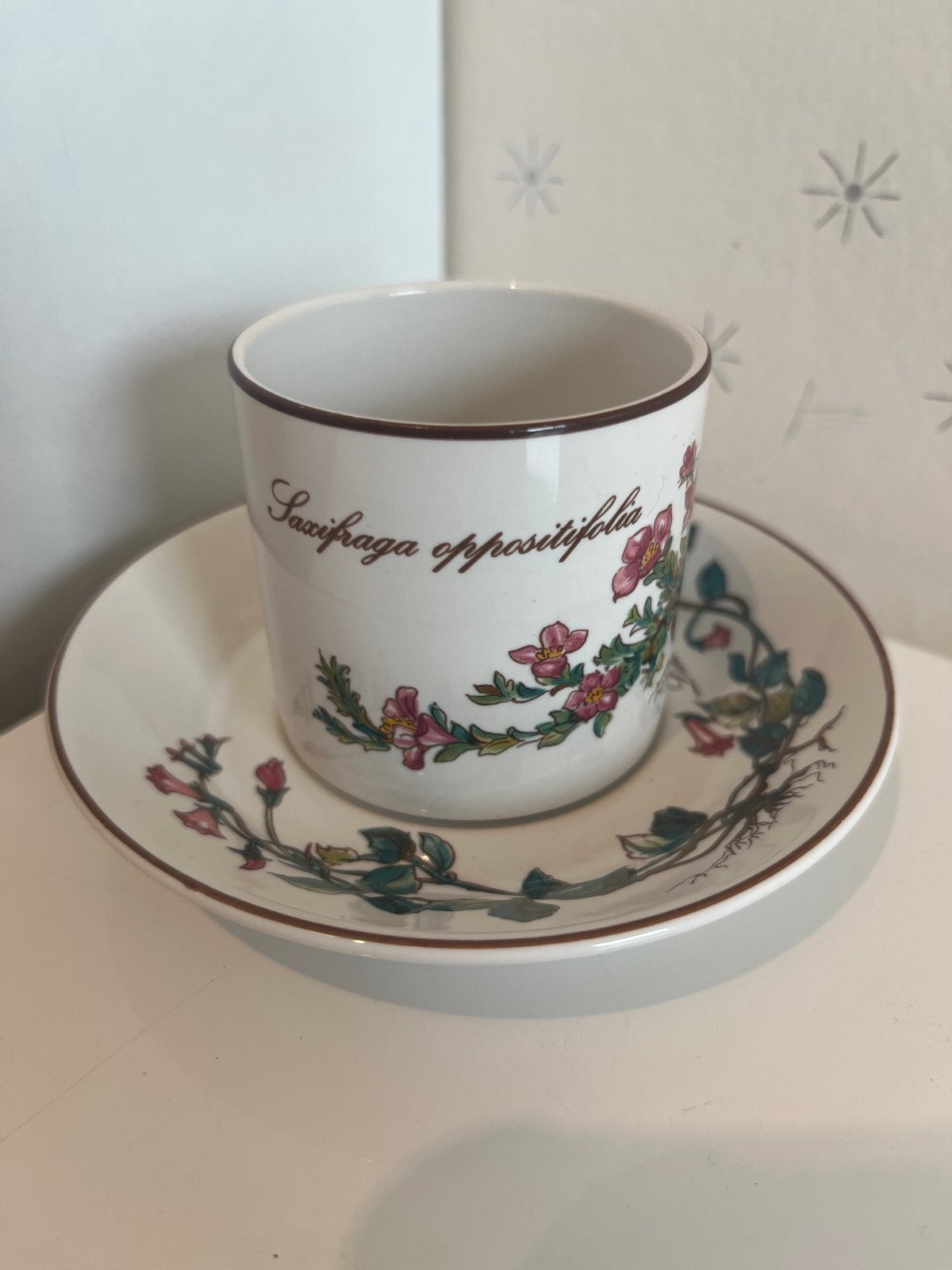 Villeroy & Boch Botanica kop en schotel - Saxifraga, Villeroy & Boch, Vintage, Ophalen of Verzenden, Zo goed als nieuw