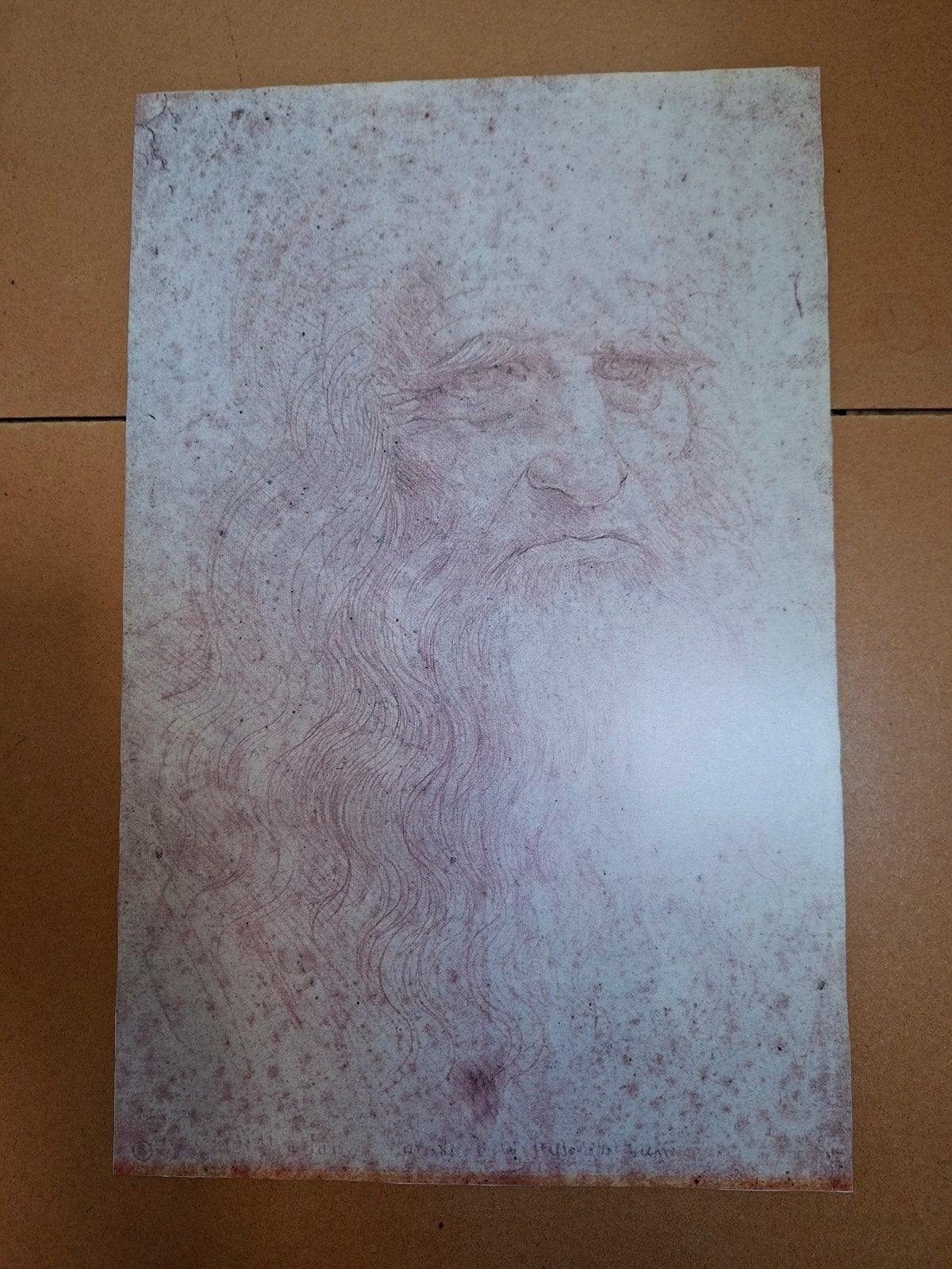 prent Leonardo  da vinci, Ophalen of Verzenden