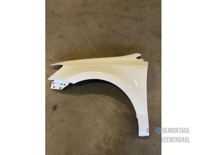 Scherm links-voor van een Volkswagen Polo (LB9A), -, Volkswagen, -, Nieuw