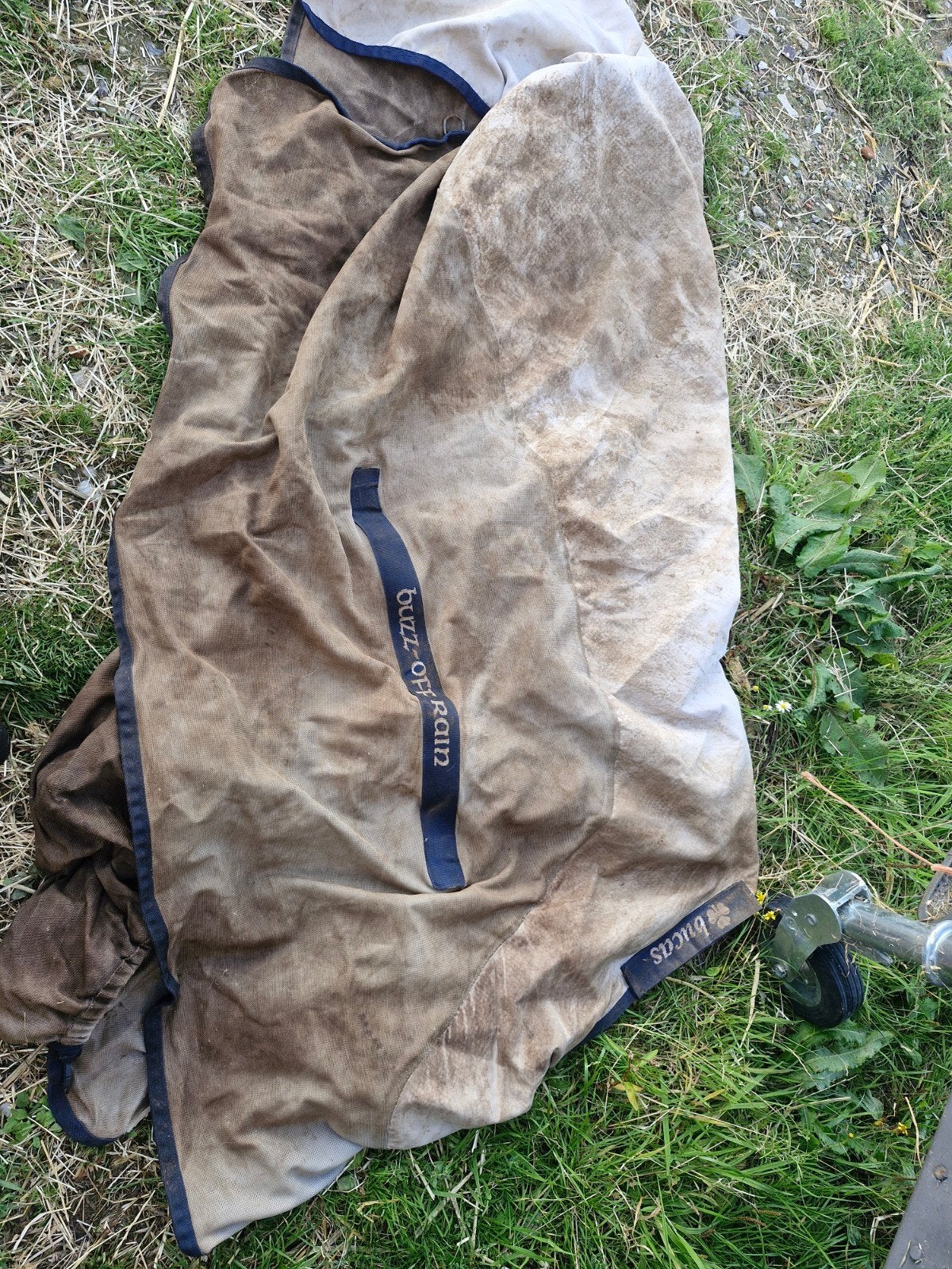 bucas buzz of rain 183, Ophalen of Verzenden, Gebruikt