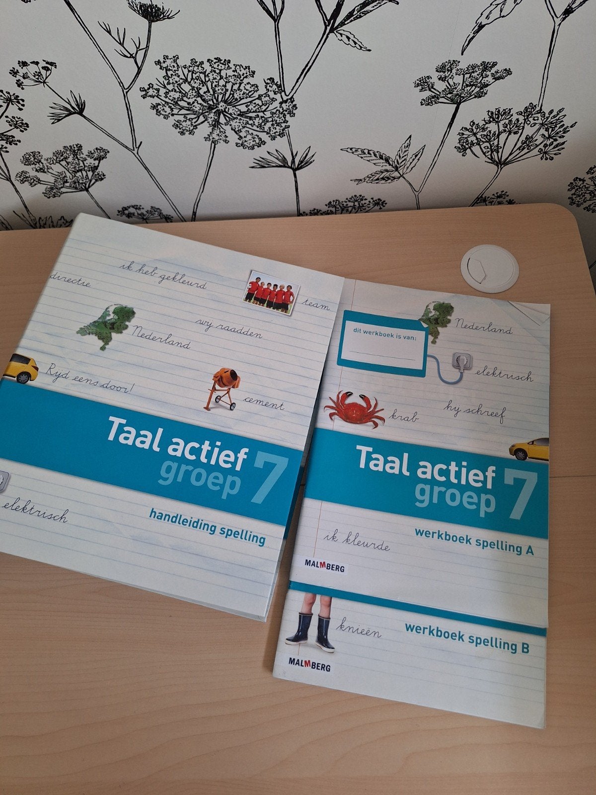 Set  Spelling groep 7, Ophalen of Verzenden, Zo goed als nieuw, Overige niveaus, Nederlands