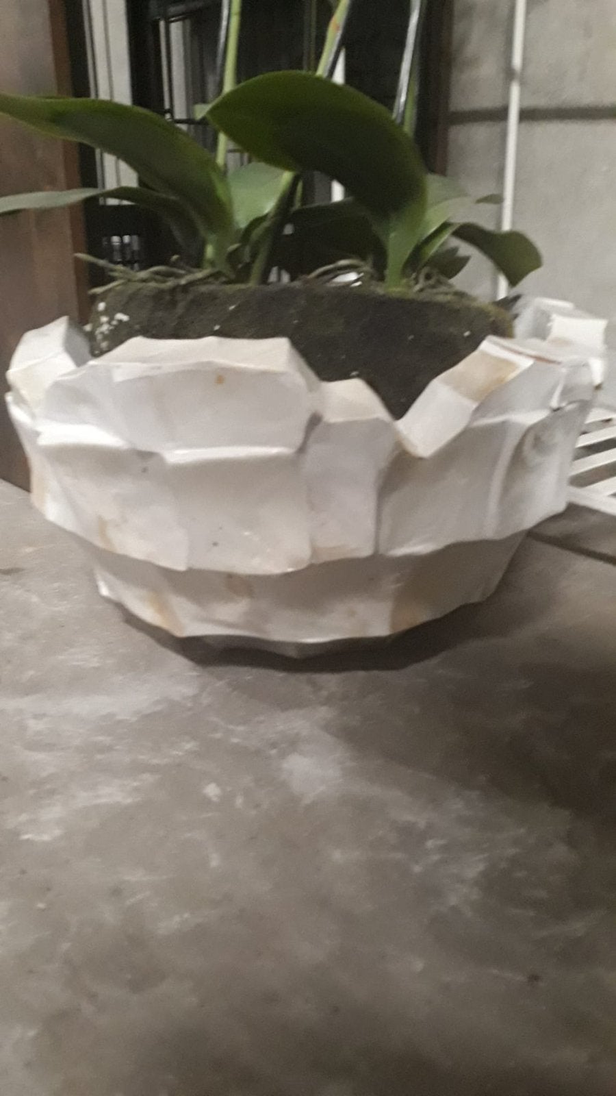 Schelpenpot, Huis en Inrichting, Ophalen of Verzenden, Zo goed als nieuw, Rechthoekig