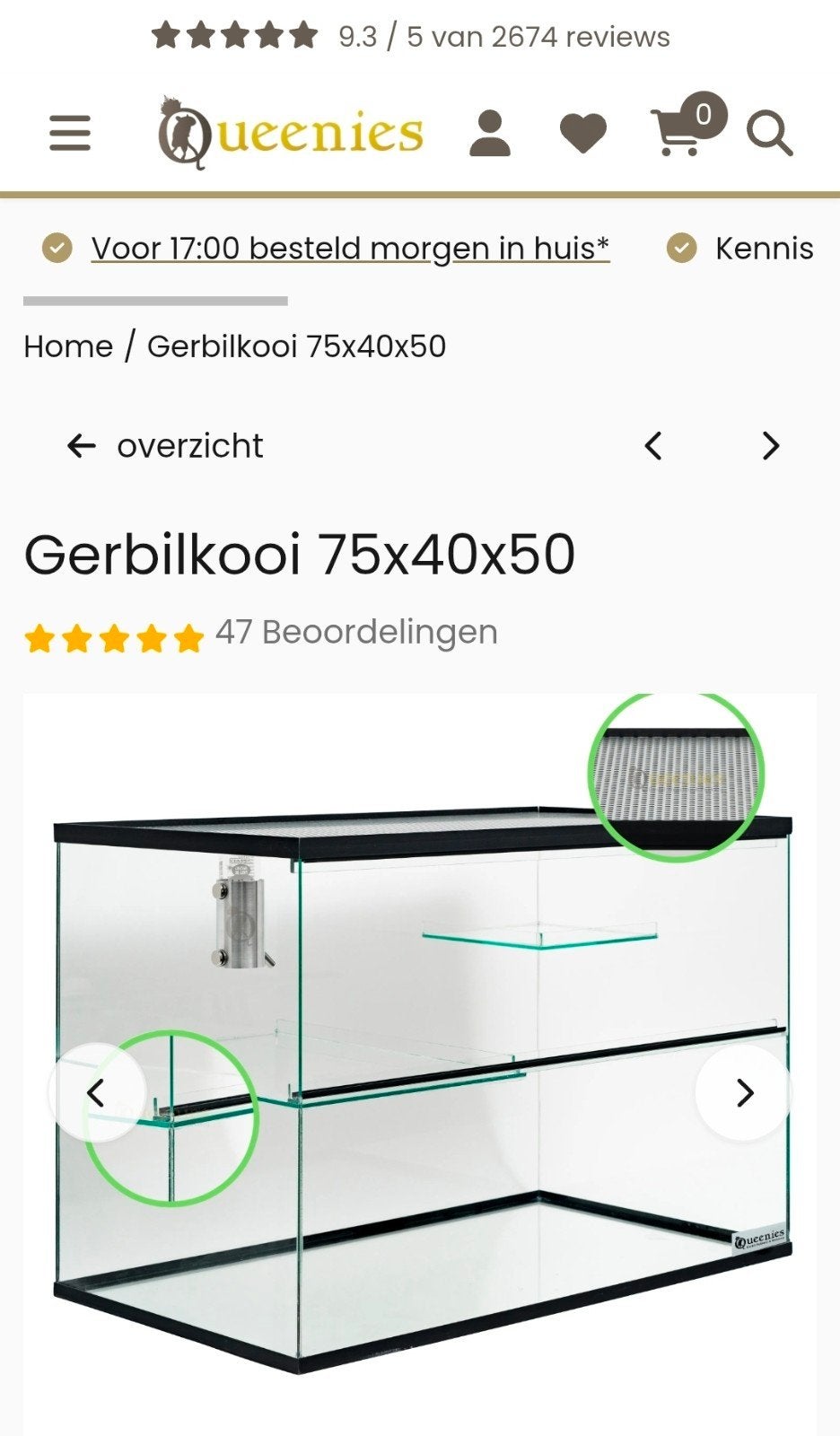NIEUW Gerbilshop Queenies Hamsterkooi van glas 75×40×50 cm, Dieren en Toebehoren, Kooi, Muis, Minder dan 75 cm, Zo goed als nieuw