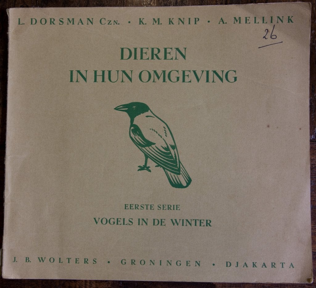 Schoolplaat boekje – Vogels in de winter, Ophalen of Verzenden, Natuur en Biologie