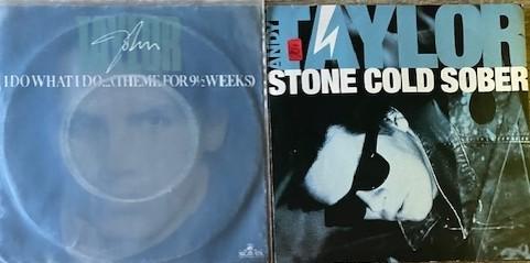 Eagles/IanDury/Arcadia/dDuranDuran/Eloy/ELP/Enigma/Enya/Eroc, Cd's en Dvd's, Vinyl Singles, Ophalen of Verzenden, Zo goed als nieuw