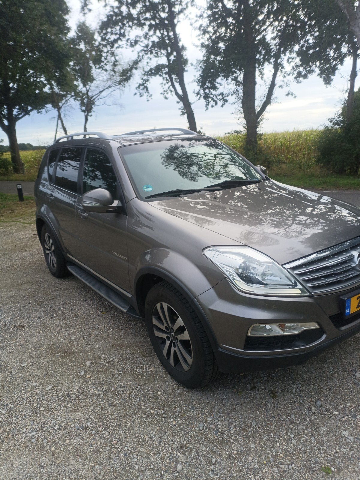SsangYong Rexton Rx200 2.0 E-xdi 4WD AUT 2013 Grijs, Auto's, SsangYong, ABS, Leder, Vierwielaandrijving, Particulier