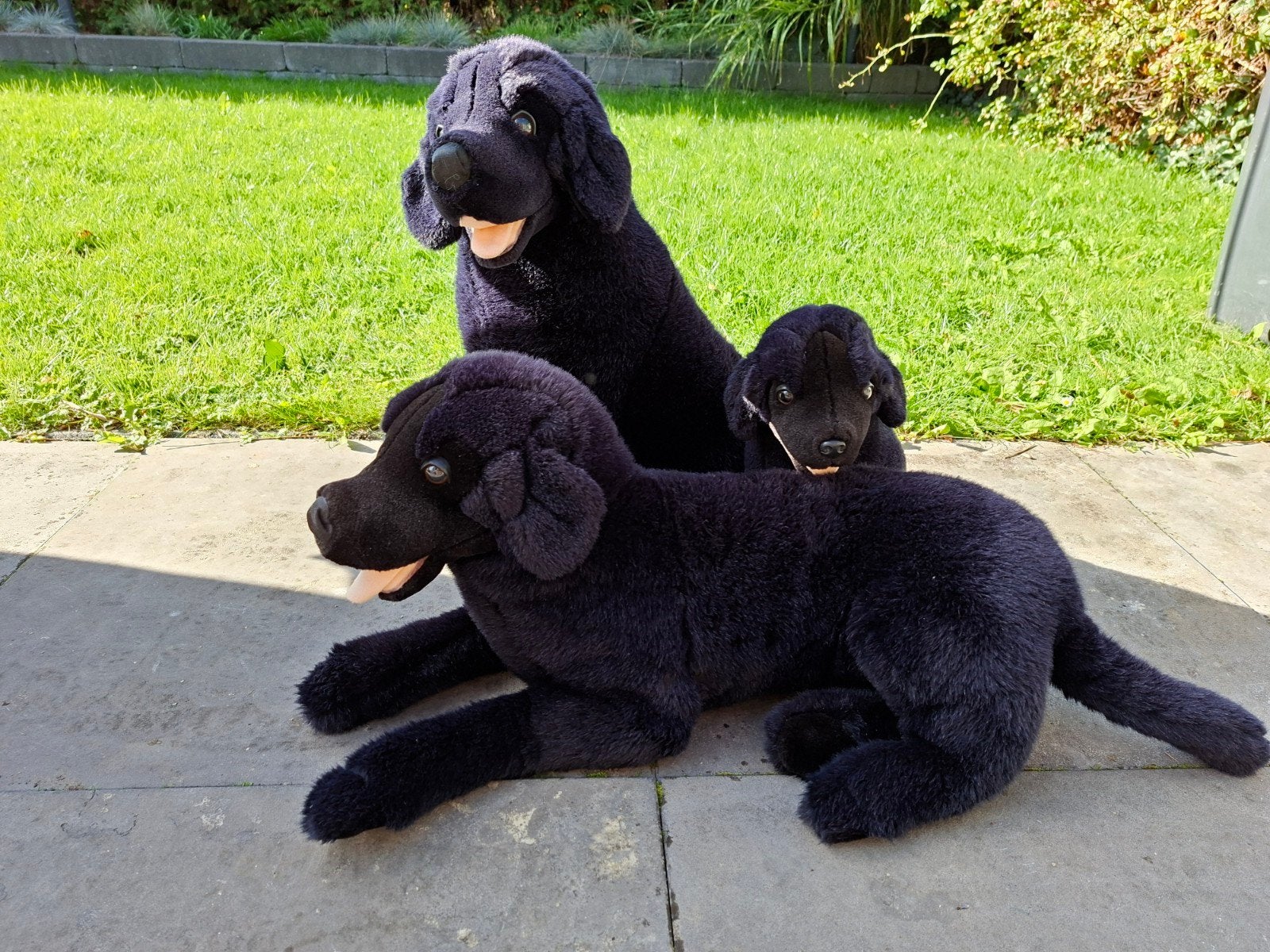 Set van 3 zwarte Labrador knuffelhonden, diverse maten, Ophalen, Gebruikt, Zwart, Hond