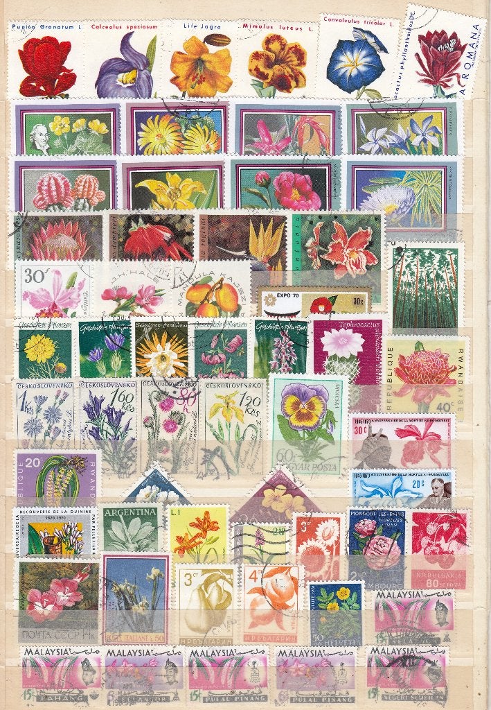 Bloemen, Ophalen of Verzenden, Buitenland