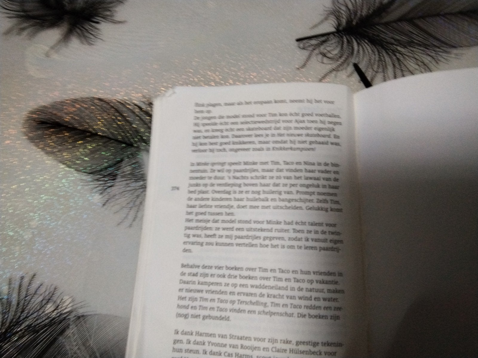Foto 4 van Het grote boek van Tim en Taco - Lieke van Duin