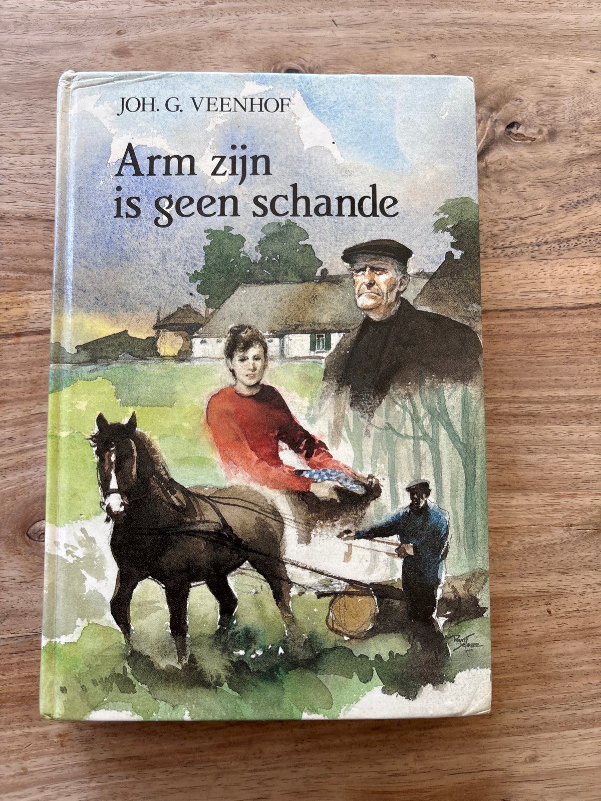 Arm zijn is geen schande - Joh. G. Veenhof (Gelezen), Boeken, Romans, Ophalen of Verzenden, Gelezen, Nederland