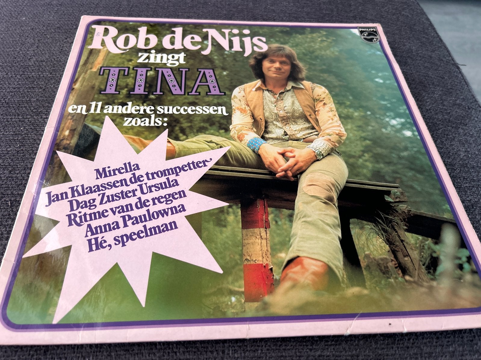 Lp Rob de Nijs zingt Tina en 11 andere successen LP, Ophalen of Verzenden, Gebruikt, 12 inch, Pop