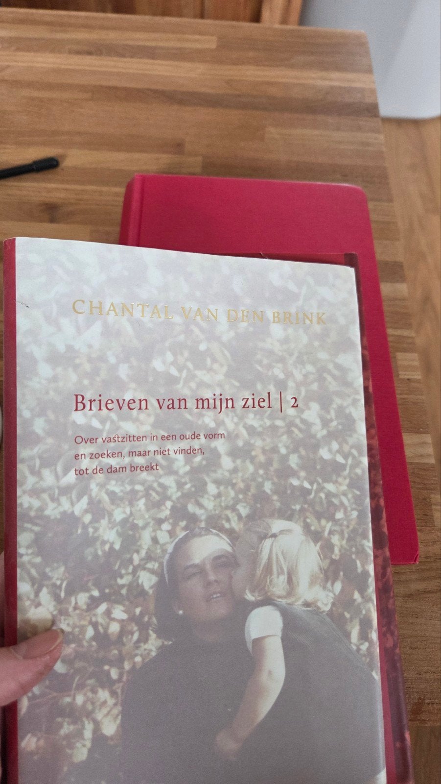 Brieven van mijn ziel | 2 - Chantal van den Brink, Ophalen of Verzenden, Zo goed als nieuw, Chantal van den Brink, Nederland