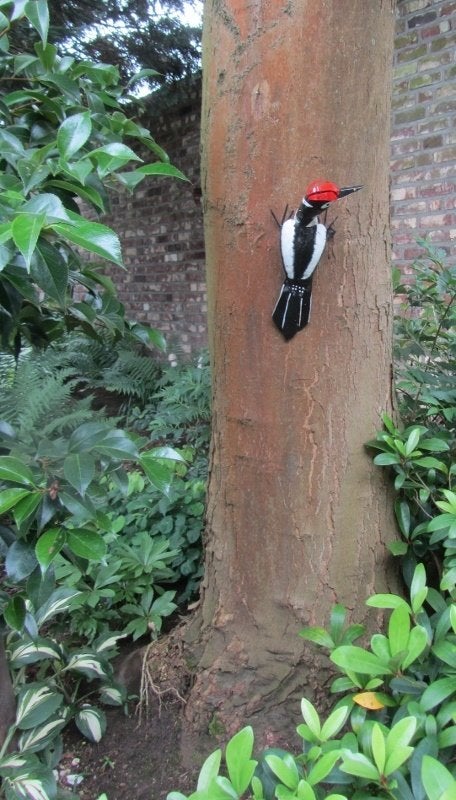 BONTE SPECHT - STREET ART - FAIRTRADE, Ophalen of Verzenden, Nieuw