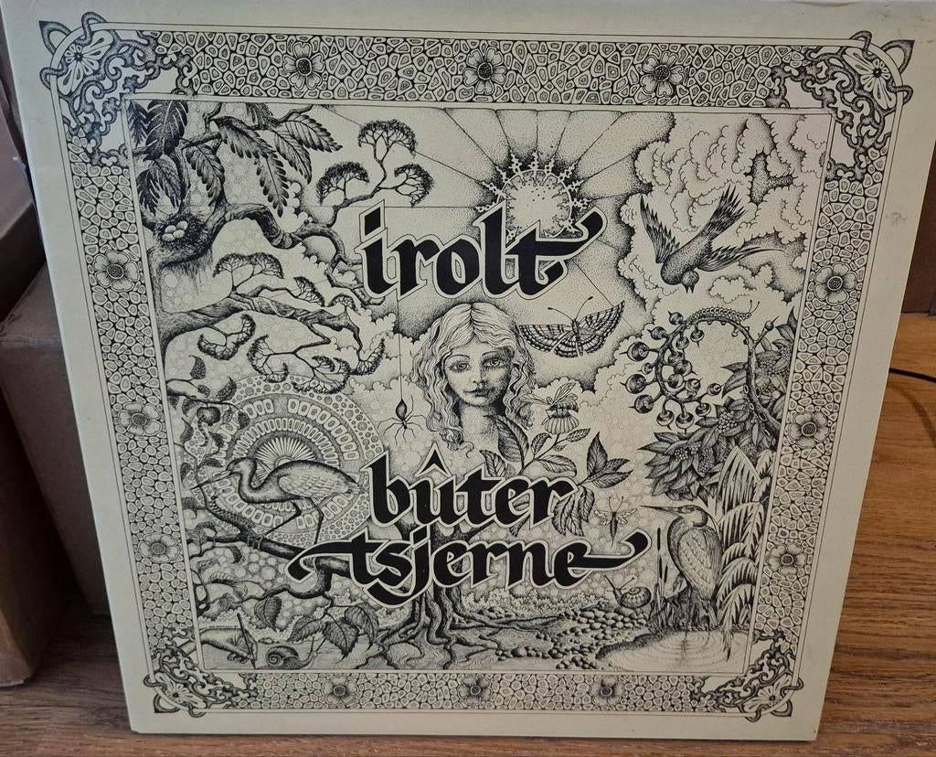 LP Irolt – Bûtertsjerne, Cd's en Dvd's, Vinyl | Nederlandstalig, Zo goed als nieuw, Levenslied of Smartlap, 12 inch, Verzenden