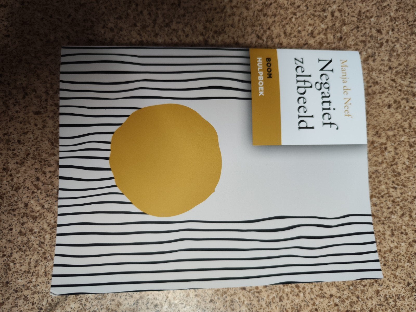 Negatief zelfbeeld - Manja de Neef (Boom Hulpboek), Boeken, Ophalen of Verzenden, Zo goed als nieuw, Klinische psychologie, Manja de Neef