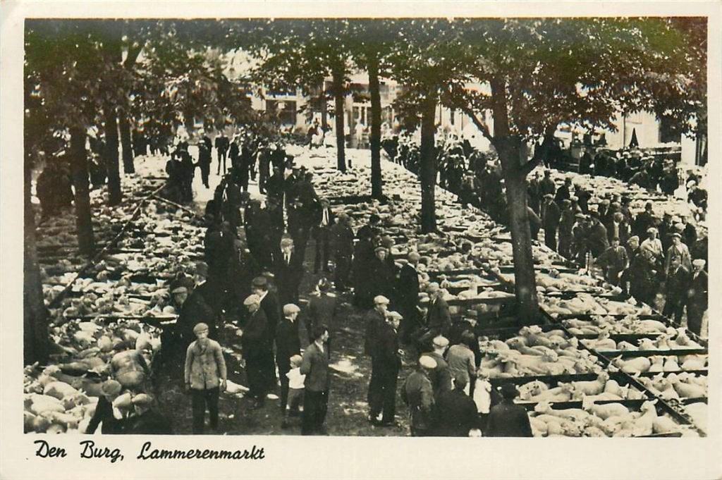 702-044-001 Den Burg Texel Lammerenmarkt, Verzenden, Voor 1920, Noord-Holland