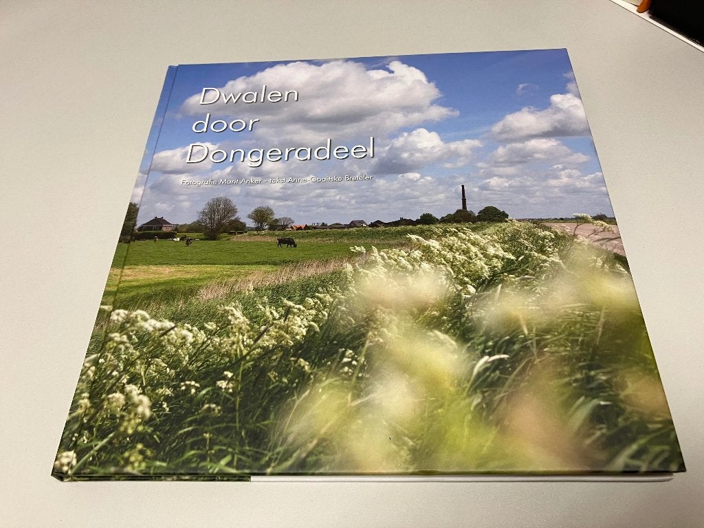 Dwalen door Dongeradeel, Ophalen of Verzenden, Gelezen