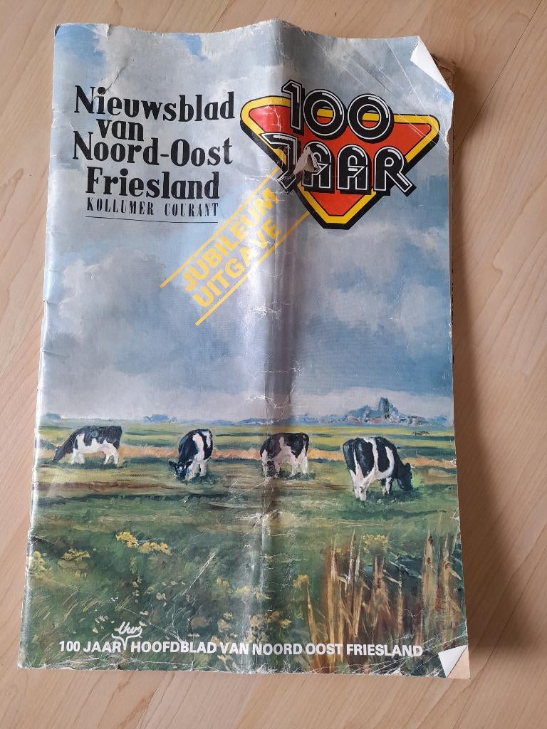 JUBILEUM UITGAVE 100 JAAR NIEUWSBLAD VAN NOORDOOST FRIESLAND, Ophalen of Verzenden, Gelezen, Overige typen