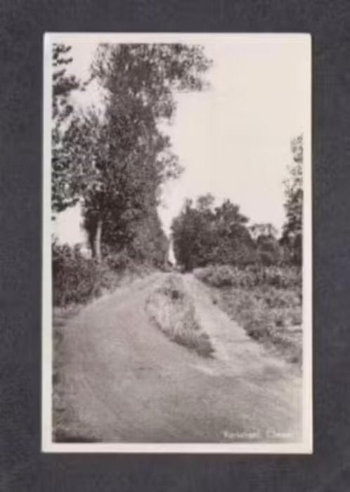 Chaam Kerkdreef 1952., Ophalen of Verzenden, 1940 tot 1960, Gelopen, Noord-Brabant
