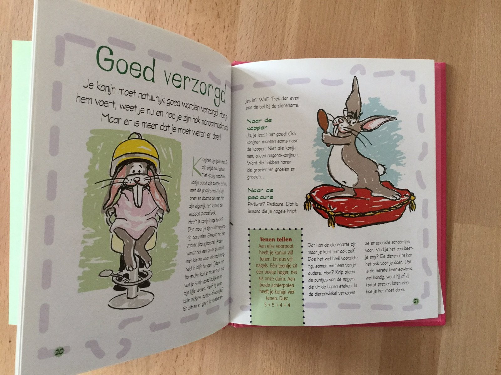 Alles over mijn knabbelende konijn, Dieren en Toebehoren, Ophalen of Verzenden, Zo goed als nieuw, Verzorging