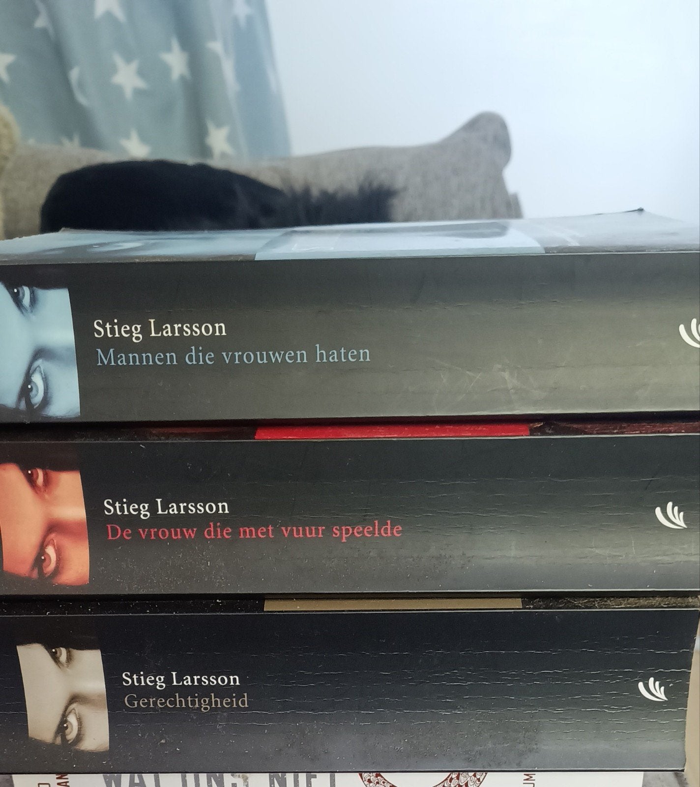 stieg Larsson, Ophalen of Verzenden, Zo goed als nieuw