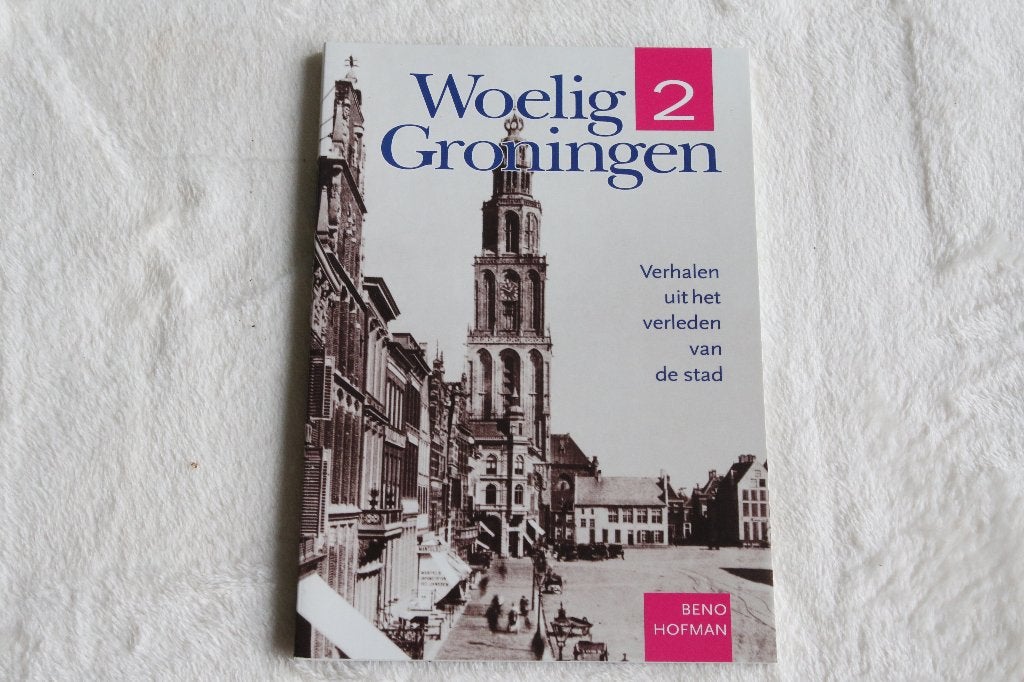 Woelig Groningen 2 Verhalen uit het verleden, Ophalen of Verzenden, Gelezen